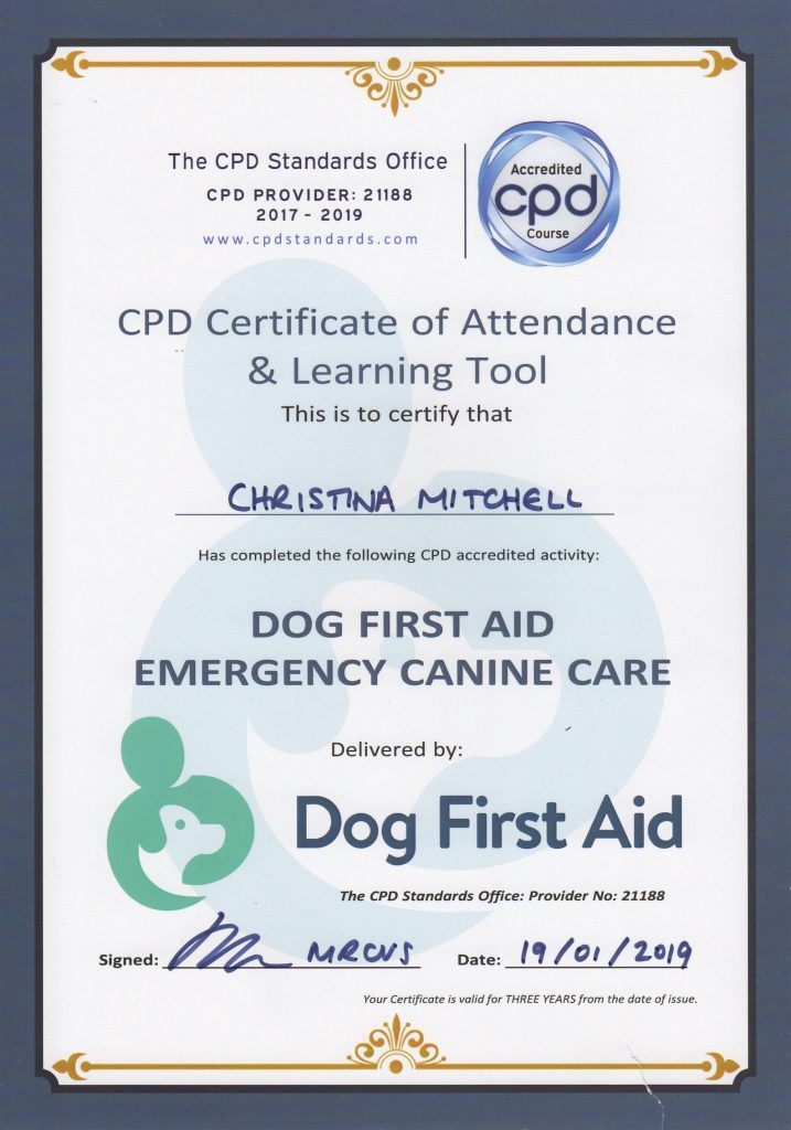 Dog First Aid Course – Woof Woof Away